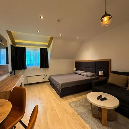 Apartment Vip