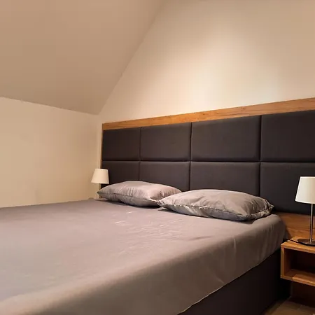 Apartment Vip *